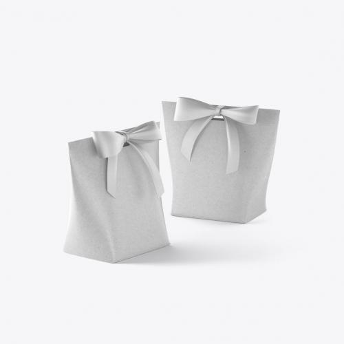 Gift Bag Mocklup