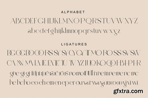 MAQOCANNSYE Serif Typeface 8PBSPQ8