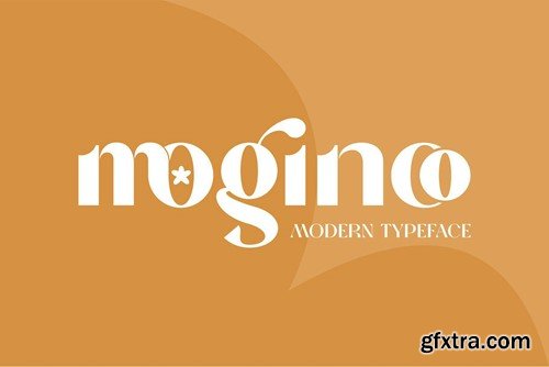 Ringroad Serif Font TDLNG4X