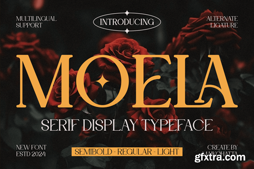 Moela - Serif Display Typeface SFK6KLS