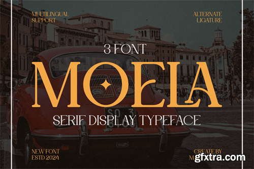 Moela - Serif Display Typeface SFK6KLS