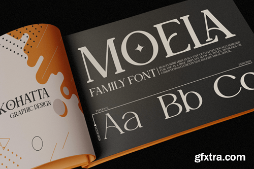 Moela - Serif Display Typeface SFK6KLS