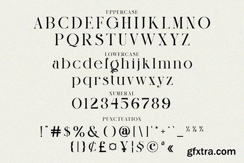 Mighty Haugften Elegant Serif Typeface QUGMY9K