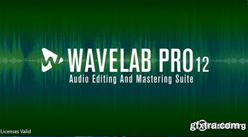 Steinberg WaveLab Pro 12.0.30