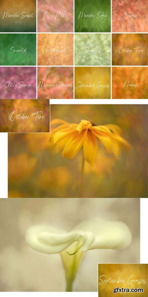 Katleen Clemons - The autumn meadow collection