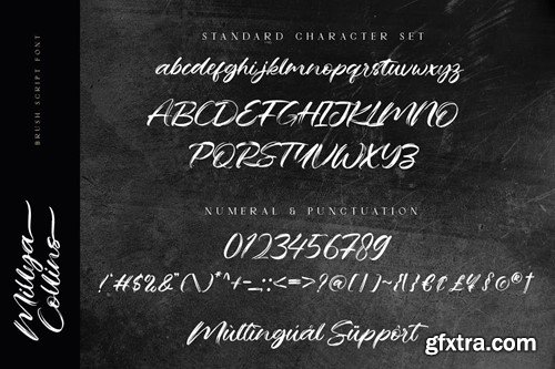 Millya Collins - Brush Script Font Y6Y53VR