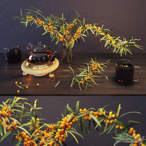 Sea buckthorn and kettle