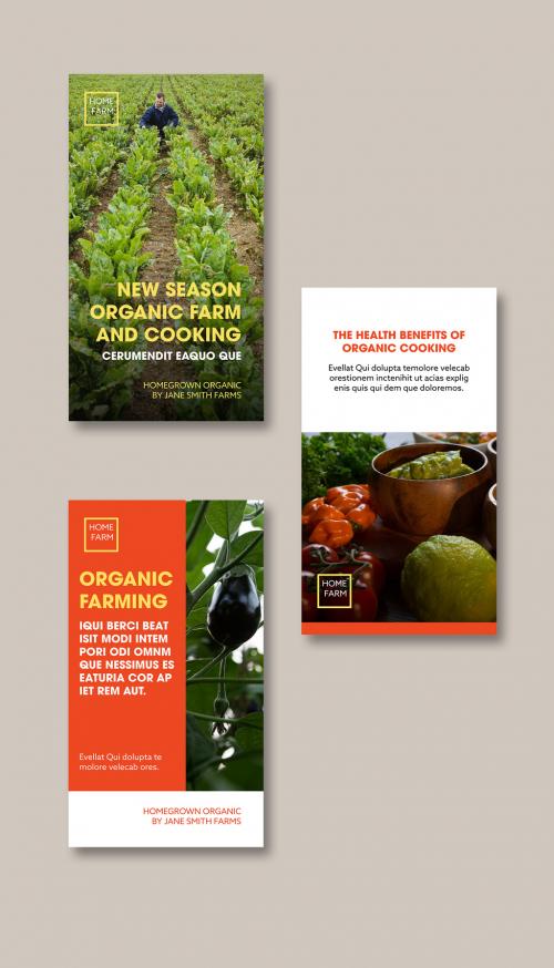 Organic Food Social Media Posts - 381934974