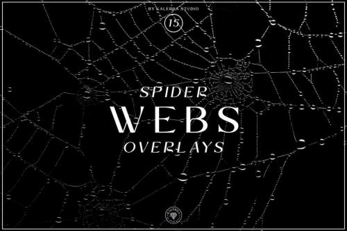 Spider Webs Overlays