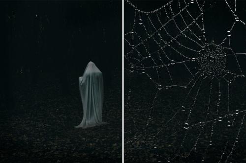 Spider Webs Overlays