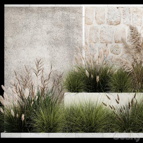 Collection of flowerbed plants and bushes with grass for landscaping, pampas grass, cortaderia and white reeds. 1126.