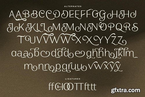 Florence Vintage Sans Serif Y5F9BGW
