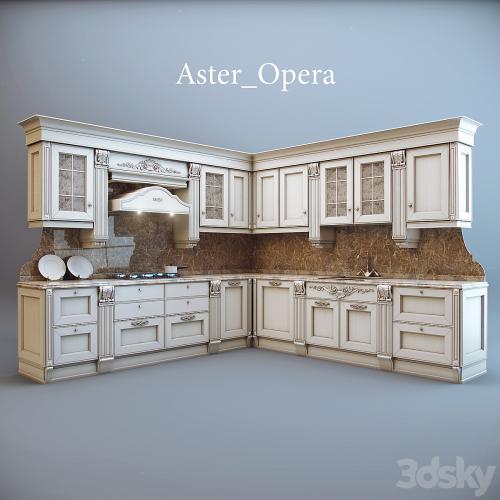 Aster / Opera