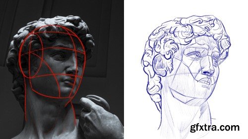 Drawing the Portrait | A Beginners Guide