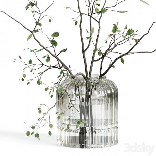 Branches plant with galss vase white - bouquet 22