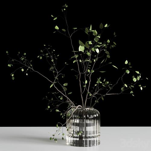 Branches plant with galss vase white - bouquet 22