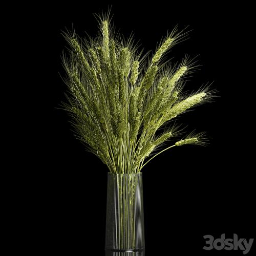 Bouquet of green flowers in a glass vase for decoration of wheat branches, spikelet. 265.