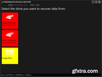 Runtime GetDataBack Pro 5.70