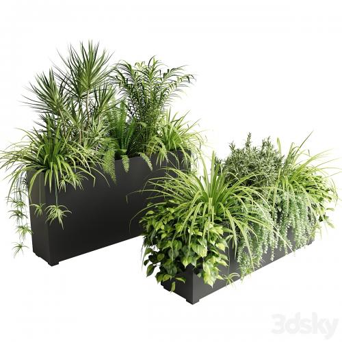 Indoor plants in outdoor boxes