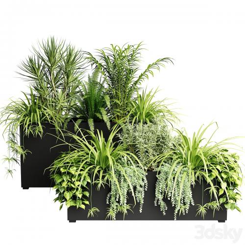 Indoor plants in outdoor boxes