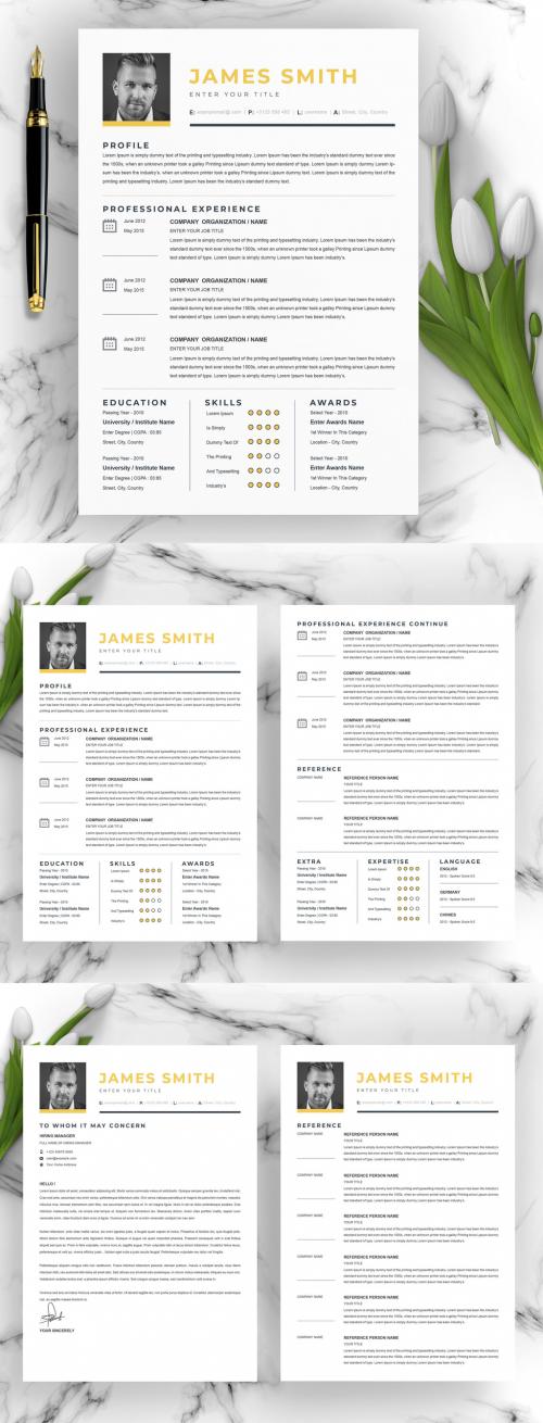 Vector Resume Layout with Simple Elegant Style - 387421798