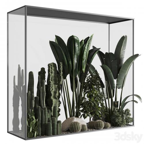 Plants behind glass 02