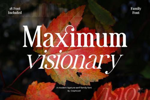 Maximum  Visionary Family Elegant Serif  Font