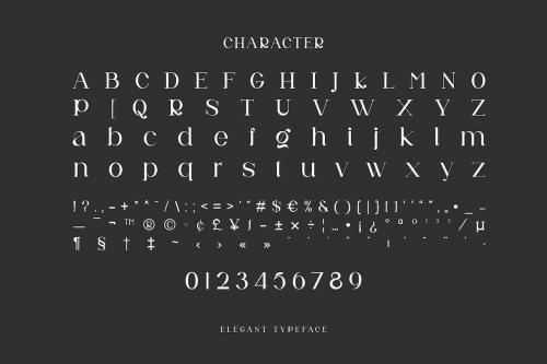 Neuva Modern Ligature Serif Typeface