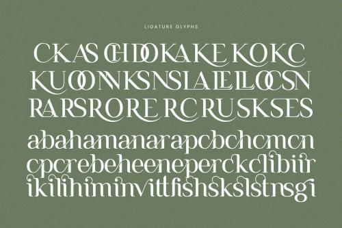 Remains Stepping Ligature Serif Font