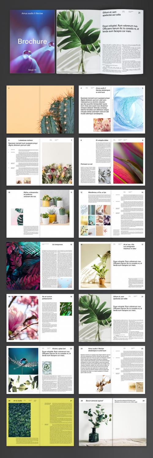 Modern and Timeless Brochure Layout - 388785339