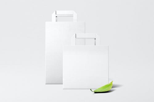 Paper Bag Mockup