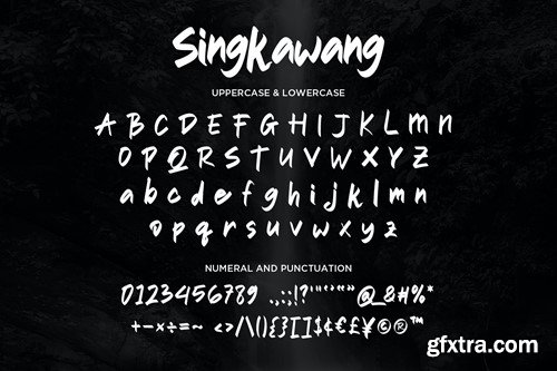 Singkawang - Handwritten Script fonts AY45NVZ