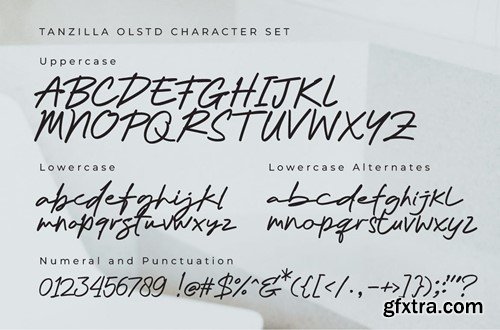 Tanzilla Olstd - Handlettered FTF35R7