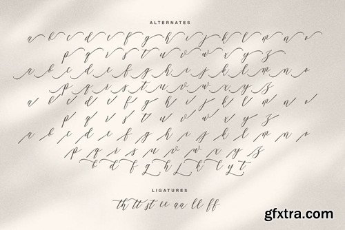 Amstromato Script Signature NRPZS8F