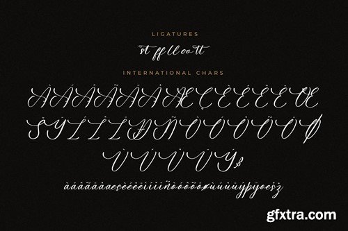 Fellyttsia Modern Script Font SK6SSF9