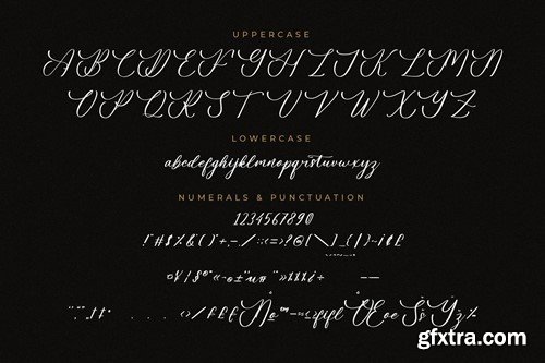 Fellyttsia Modern Script Font SK6SSF9