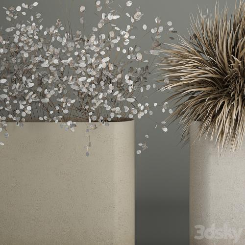 Collection of plant bouquets of dried flowers, moonflower, dry palm branches, dry grass, natural decor .1121.