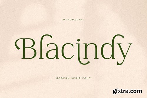 Balcindy Modern Serif Font 8FBSRTC