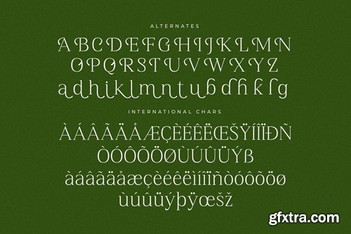 Balcindy Modern Serif Font 8FBSRTC