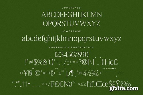 Balcindy Modern Serif Font 8FBSRTC