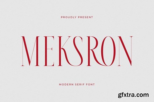 Meksron Modern Serif Font NLQV64B