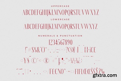 Meksron Modern Serif Font NLQV64B