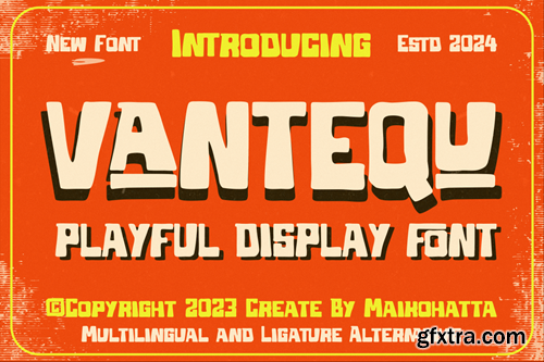 Vantequ - Playful Display Font WZW84EG