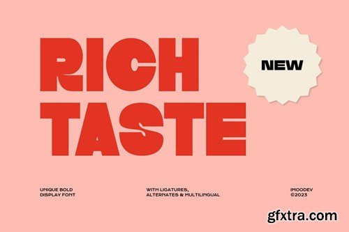 Rich Taste - Unique Bold Display Font FSV64W8