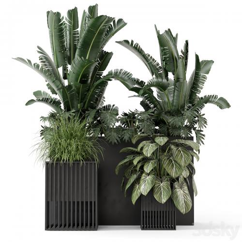 Outdoor Plants Bush in Metal Pot - Set 1074