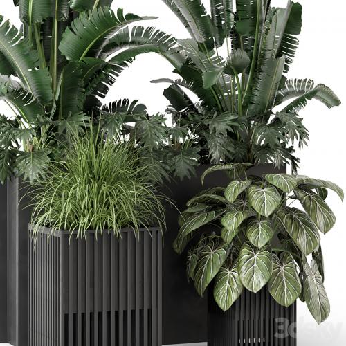 Outdoor Plants Bush in Metal Pot - Set 1074