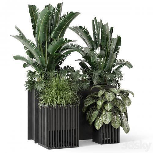 Outdoor Plants Bush in Metal Pot - Set 1074