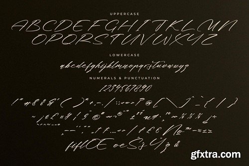 Midnight Realtime Modern Calligraphy Font PBAC5KN