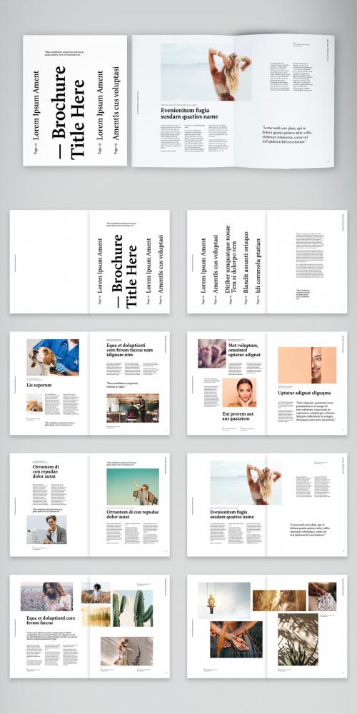 Testimonials and Stories Brochure Layout - 392090096