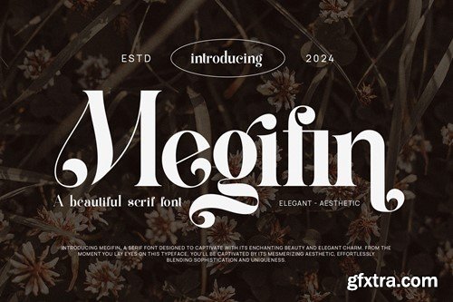 Megifin Beautiful Ligature Serif EPAWM98